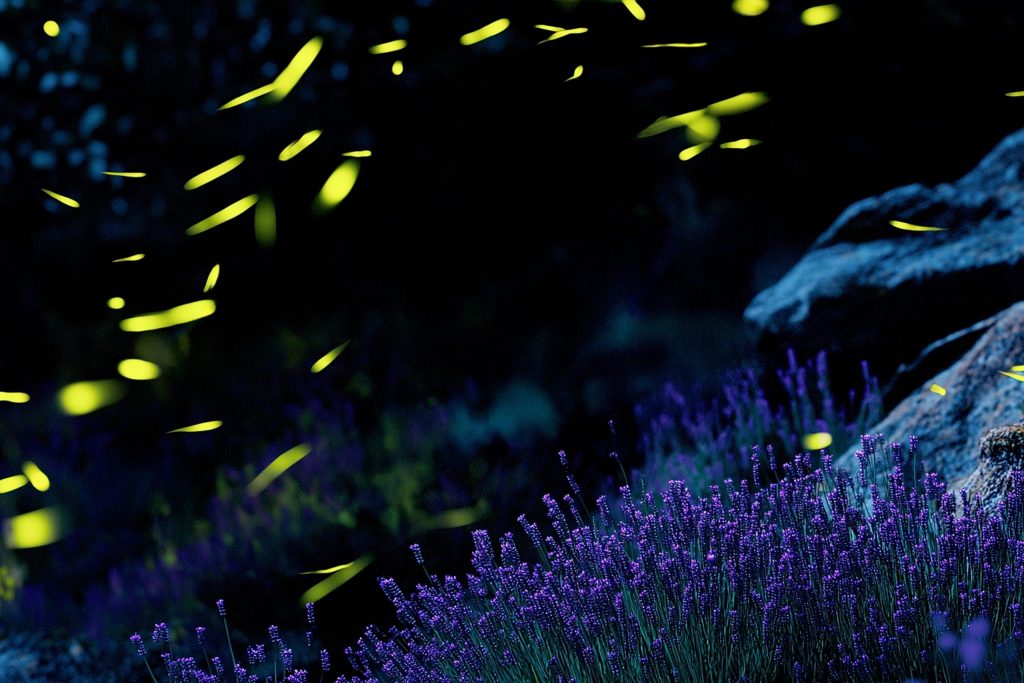 Motion study of the Firefly colour palette. Design and animation by forpeople.