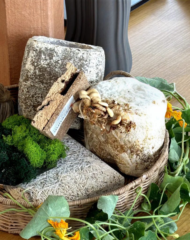 Close-up views of products from the Future Feast workshop tasting. Film by forpeople.